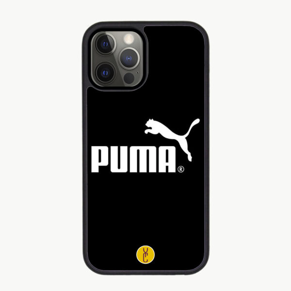 Puma Power