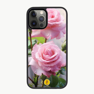 Roses Féériques