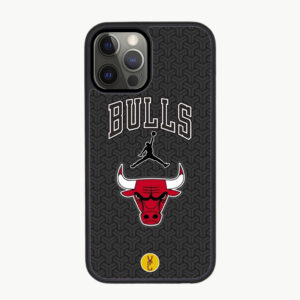 Force Bulls