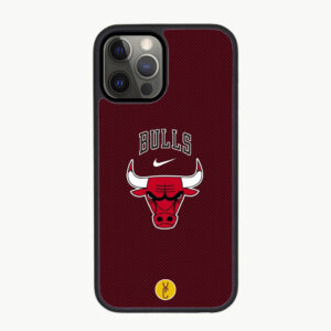 Bulls Allover